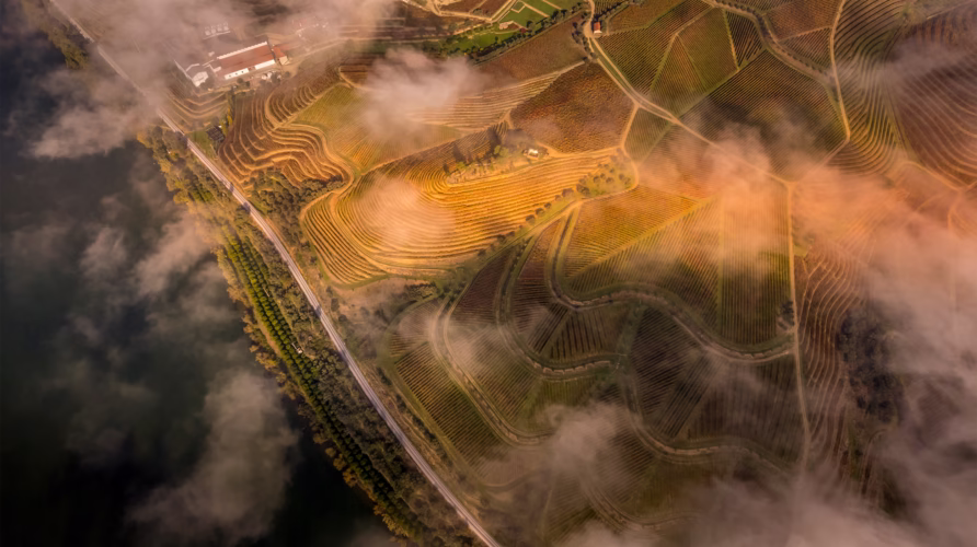 trilhos no Douro, Casa da Lameira, alojamento Douro, trilhos pedestres Douro, natureza