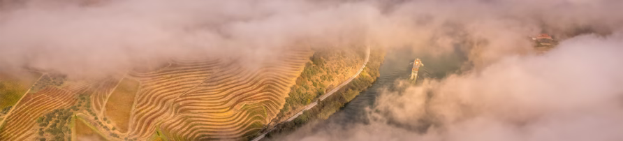 Serviços Casa da Lameira