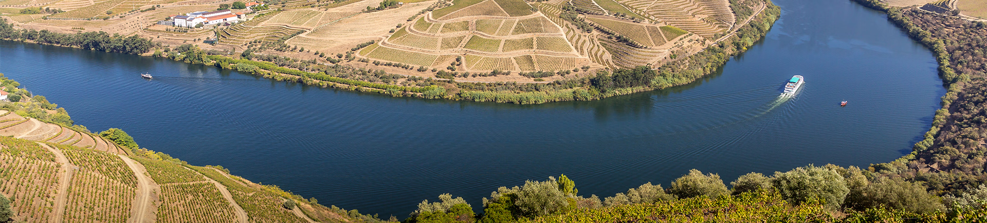 piscina infinita douro, Casa da Lameira, alojamento Douro, piscina com vista Douro