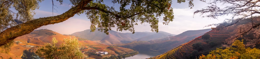 Casa da Lameira Canelas, alojamento Local, Douro, Douro Valley